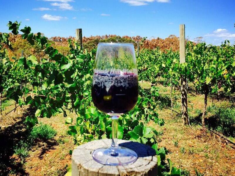 Wine tour in Adelaide